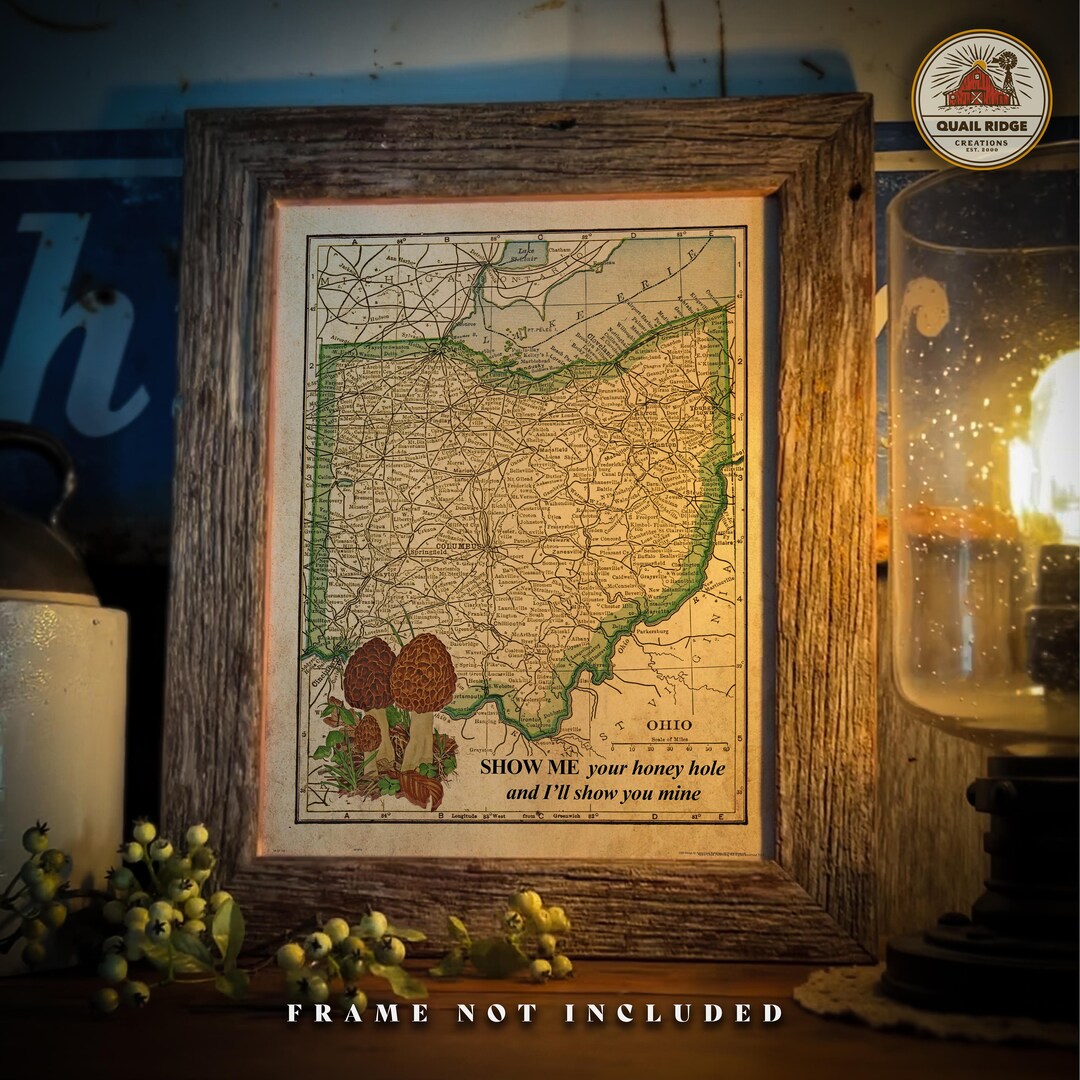 Vintage Ohio State Map Morel Mushroom - Il 1080xN.5920531107 42zj 