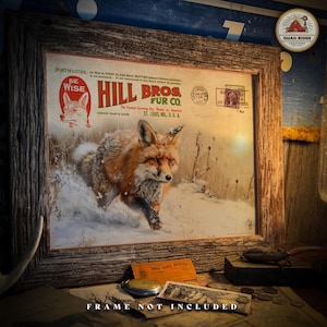 May include: Vintage style print of a red fox running through a snowy forest scene. The print features the text "Hill Bros. Fur Co. The Finest Growing Fur for Homes in America. St. Louis, Mo., U.S.A."