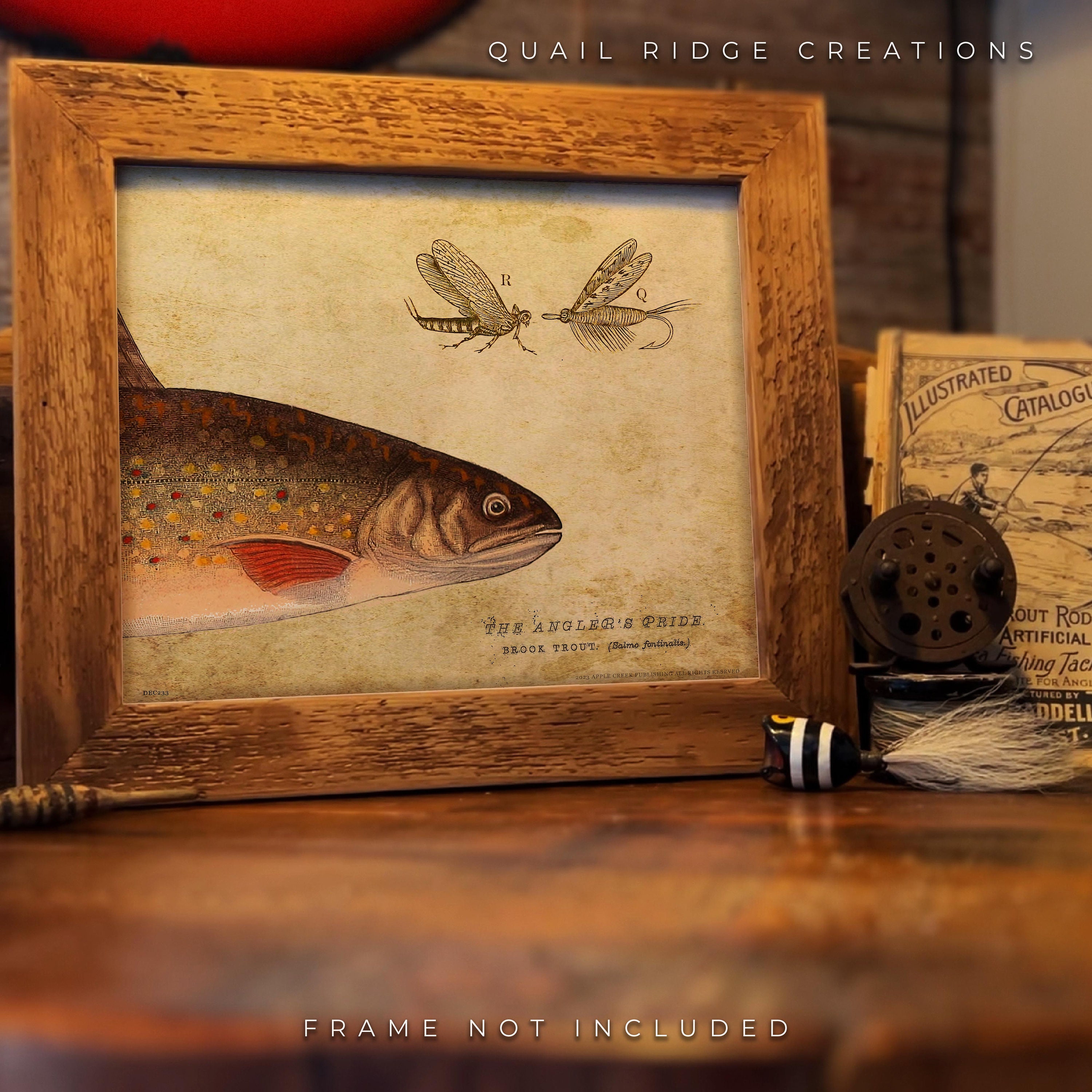 Vintage Brook Trout Fishing Art Print 8x10 Unframed Fly-fishing