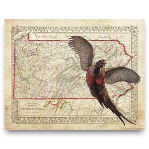 May include: An antique map of Pennsylvania with a pheasant flying over it. The map is in shades of brown, green, and red. The pheasant is brown, red, and white.