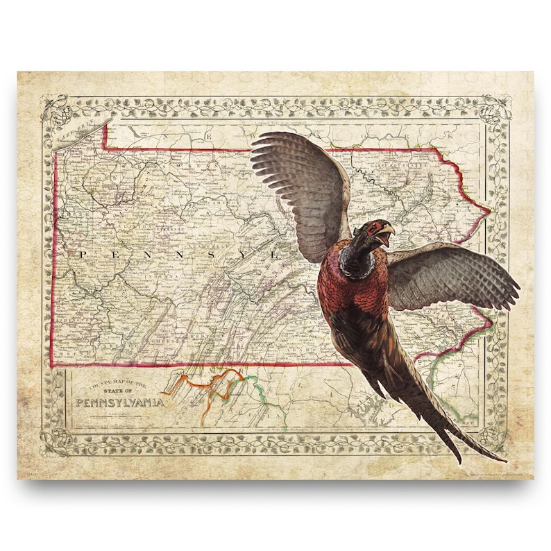 May include: An antique map of Pennsylvania with a pheasant flying over it. The map is in shades of brown, green, and red. The pheasant is brown, red, and white.