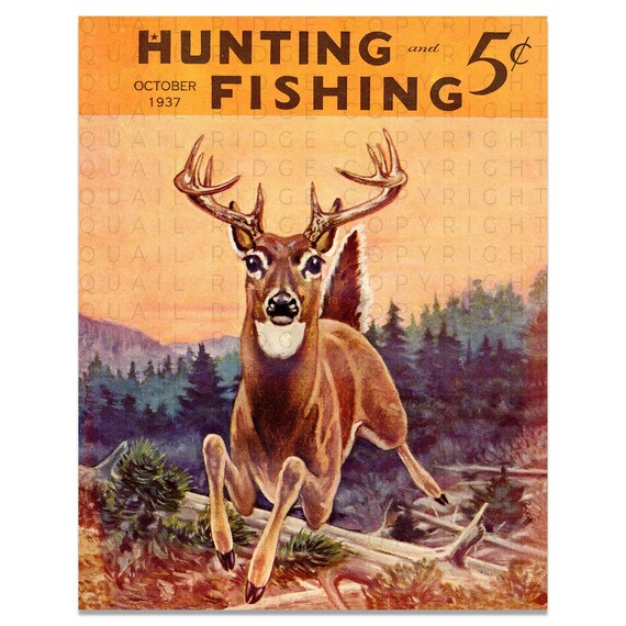 Vintage Whitetail Deer Art Print: Hunting & Fishing Magazine Cover