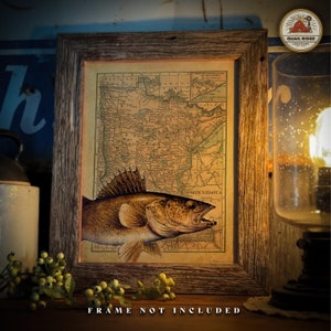 May include: A vintage map of Minnesota with a walleye fish illustration. The map shows the state's major cities and rivers. The fish is brown and gold with a white belly and fins. The map is framed in a rustic wooden frame.