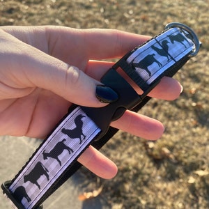 1&quot; Farm Animal Dog Collar