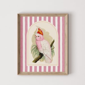 Arte de parede de pássaro cacatua rosa, impressão digital de papagaio vintage, decoração de berçário excêntrica, pôster de animal com listras rosa, download instantâneo de arte