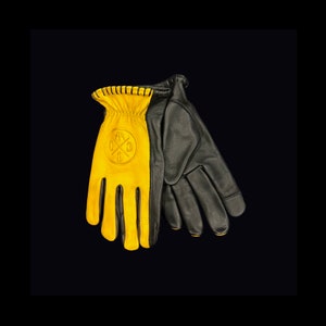 Der Flügelnuss-Handschuh