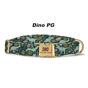 Dinosaur Dog Collar.