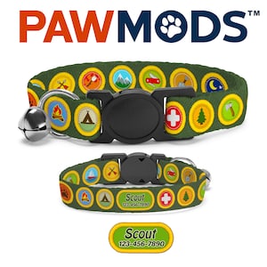 May include: Green and yellow scout-themed cat collar with a bell and a black buckle. The collar has a matching green and yellow ID tag with the text "Scout 123-456-7890".