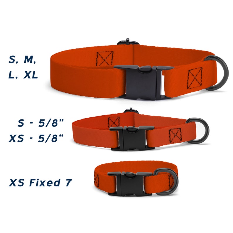 Dinosaur Bones Dog Collar Types.