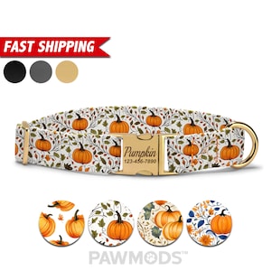 May include: A white dog collar with a gold buckle and a pumpkin pattern. The buckle has the text "Pumpkin" and a phone number. The collar is shown with four different pumpkin pattern variations.