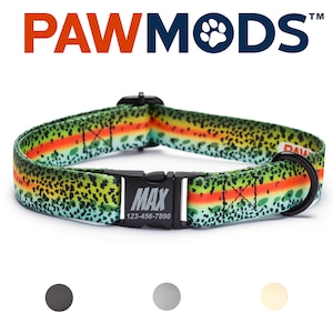 May include: A green, orange, and blue dog collar with a black buckle and a black D-ring. The collar has a fish pattern and the text "MAX 123-456-7890" on the buckle.