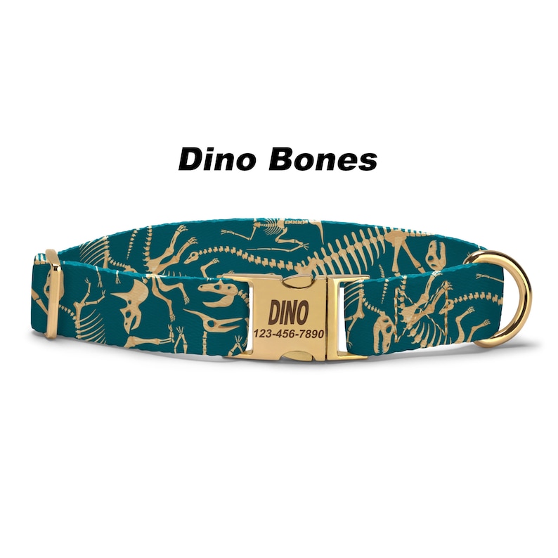 Dinosaur Bones Dog Collar.