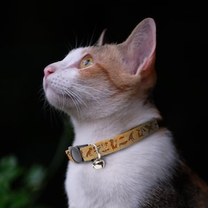 Cat wearing Personalized Egyptian Hieroglyphics Cat Collar.