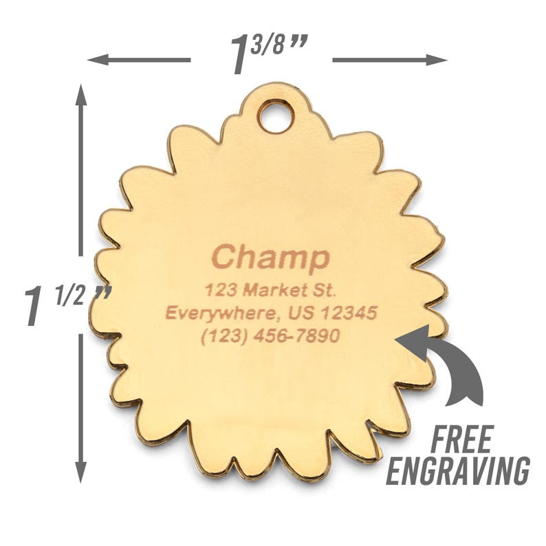 Daisy Dog Tag size with free engraving. Pet Supplies, Flower Dog Tags, Floral Pet Name Tags, Tags, Dog Mom Gift, Dog Tag Personalized, Dog ID Tag, Pet Tag, Custom Dog Tag, Dog Accessories, Pet ID Tags, Pet Gifts.