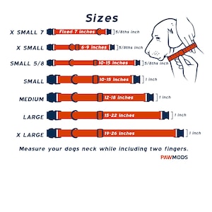Dinosaur Bones Dog Collar Sizes.