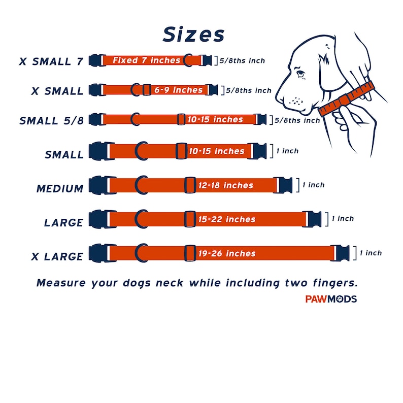 Dinosaur Bones Dog Collar Sizes.