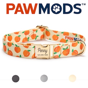 Peach dog best sale collar