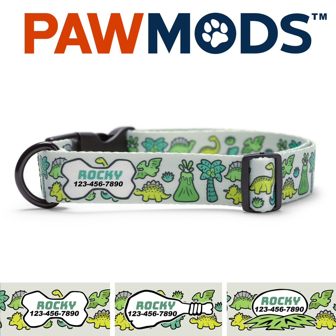 Dinosaur Dog Collar Personalized Dog Collar Boy Dinosaur Collar Custom
