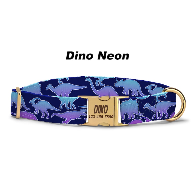 Neon Dinosaur Dog Collar.