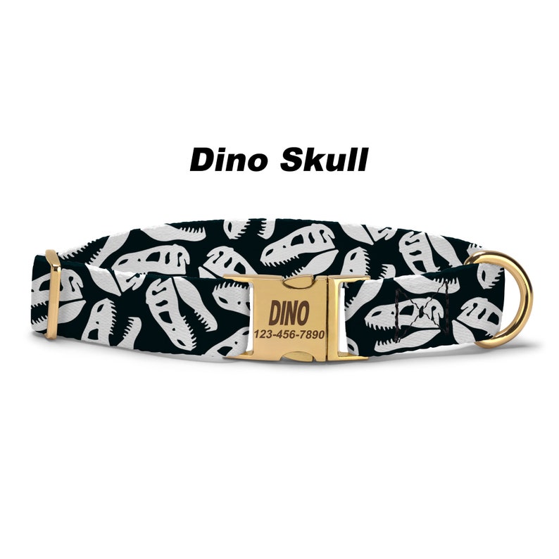 Dinosaur Skull Dog Collar.