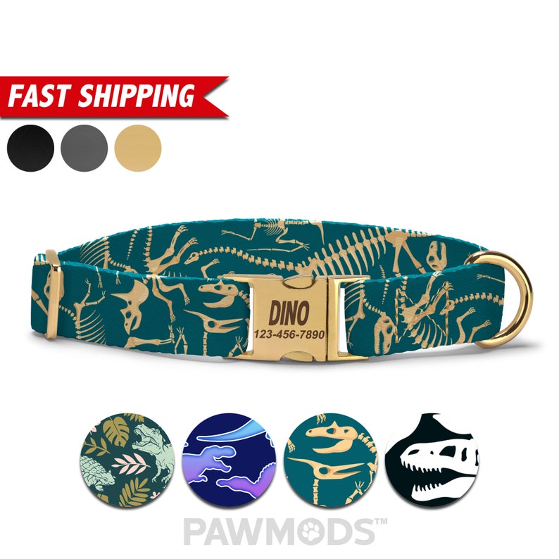 Dinosaur Bones Dog Collar with Personalized Metal Engraved Quick Release Buckle by PawMods.