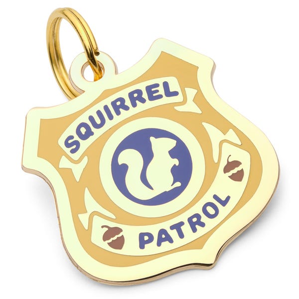 Pet ID Tag Squirrel Patrol Dog Tag, Enamel Dog Tag For Dogs, Badge Pet Name Tags, Free Personalized Engraving, Funny Dog Tags, Dog Gift