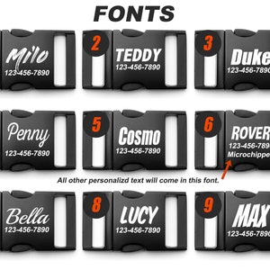 Dinosaur Bones Dog Collar Fonts.
