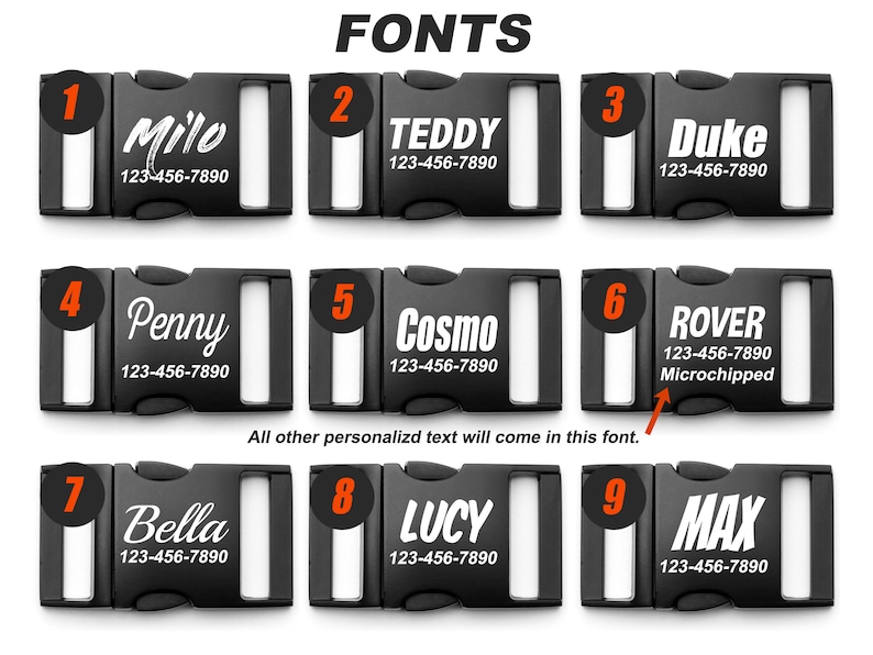 Dinosaur Bones Dog Collar Fonts.