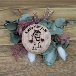 Op de afbeelding: Een houten rond object met een paardenmotief en de tekst "Shetty Mähne von Luki". Twee rode hartvormige versieringen bevinden zich onder de paardenillustratie. Het object is omgeven door gedroogde bloemen en groen.