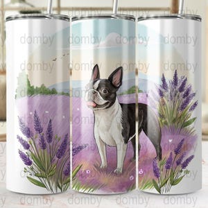 Emballage pour gobelet Boston Terrier : drôle de chien champ de lavande (téléchargement numérique)