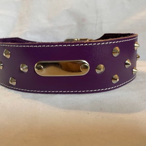 Leather Purple ID Studded Dog Collar