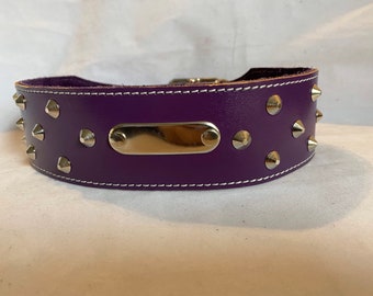 Leather Purple ID Studded Dog Collar