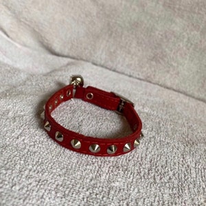 Peut inclure: Un collier rouge en cuir pour animaux de compagnie avec des clous coniques argentés et une petite clochette argentée. Le collier a une boucle métallique pour le réglage.