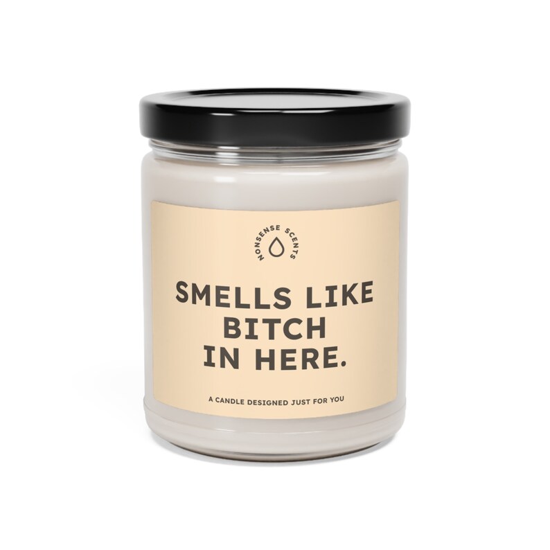 Scented Candle  Smells Like Bitch In Here.  The image 1