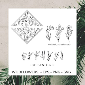botanical bundle svg wildflowers serigraphy eps vectors printable botanical svg graphic tee wildflowers lover botanical graphics bundle png