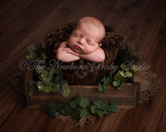 Newborn Digital Backdrop, Newborn Digital Background, Newborn composite, Woodland, Greenery, Boy, Girl