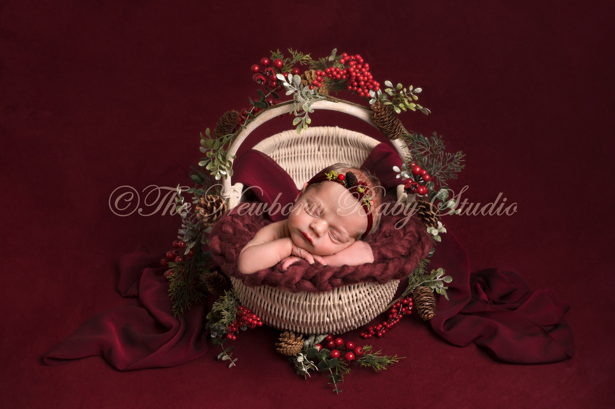 Newborn Digital Backdrop Newborn Digital Background Acorns Etsy