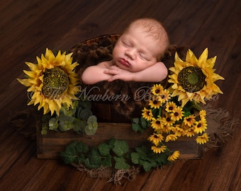 Newborn digital backdrop, Digital backdrop newborn, Digital newborn backdrop, Digital background baby, sunflowers, head on hands