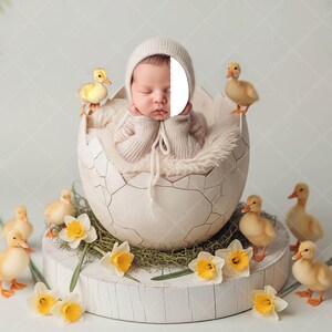 May include: A newborn baby in a cream-colored outfit and bonnet rests inside a large, cracked eggshell. The scene is decorated with yellow ducklings and daffodils, creating a spring or Easter theme.