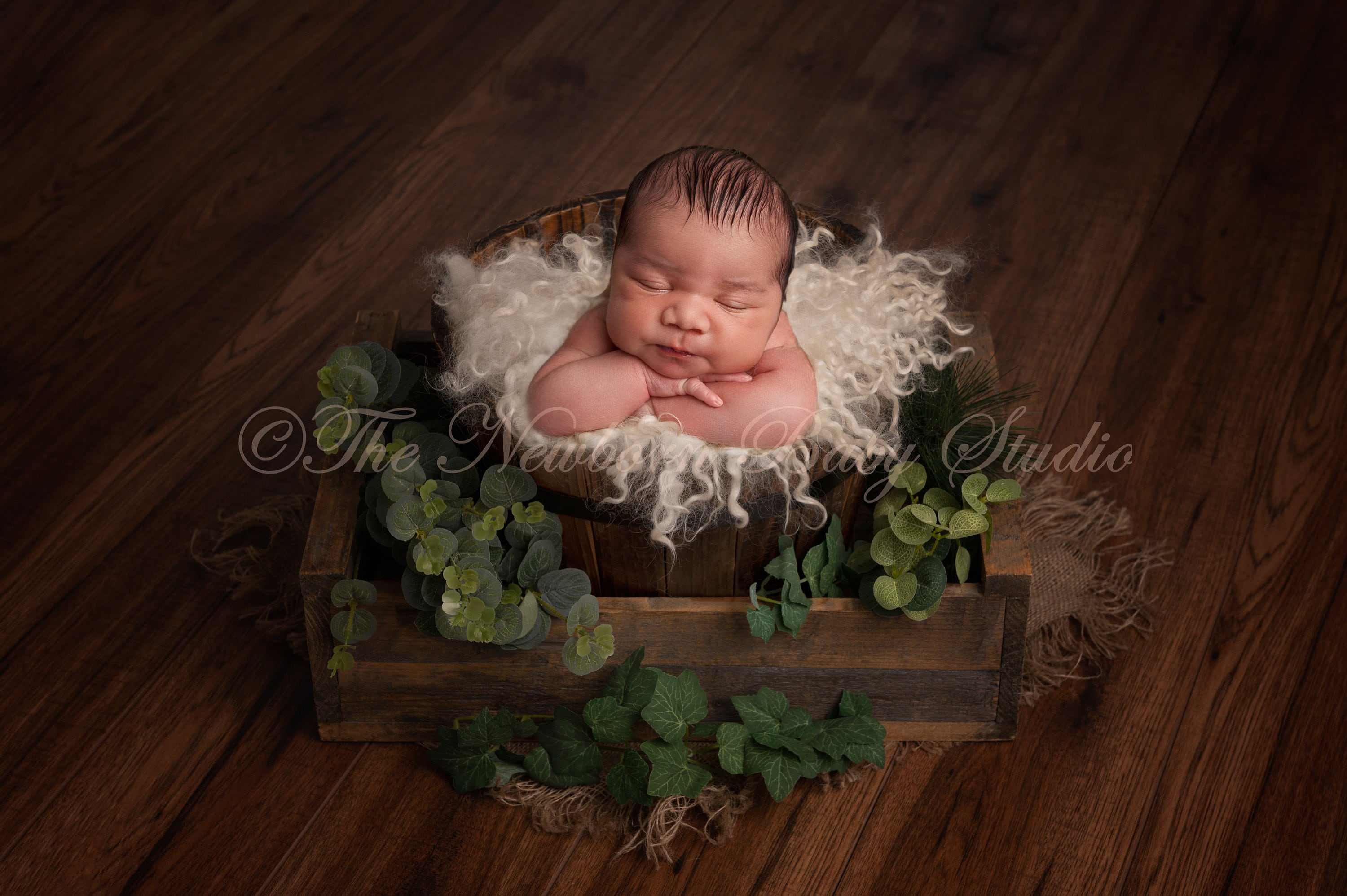 Newborn Digital Backdrop Set of 3 Woodland Newborn Digital Background ...
