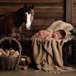 Newborn DIgital Backdrop horse, Newborn digital backdrop with horse, Digital Backdrop Newborn, horses, stable, boy, girl, wooden, rustic