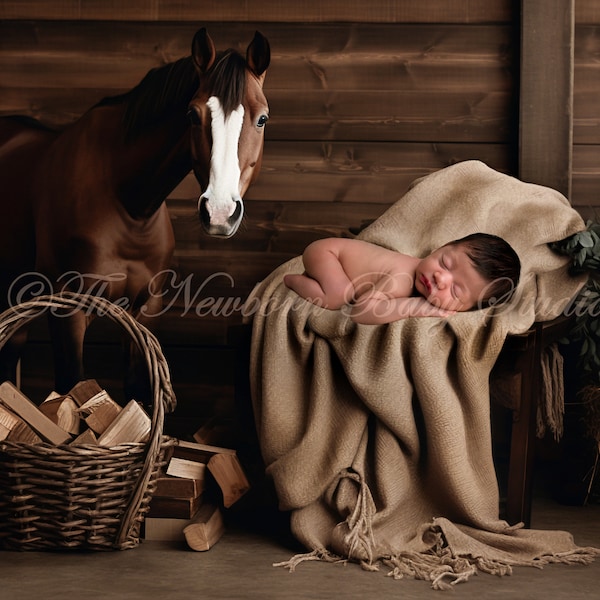Newborn DIgital Backdrop horse, Newborn digital backdrop with horse, Digital Backdrop Newborn, horses, stable, boy, girl, wooden, rustic