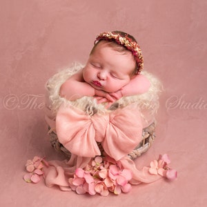 May include: A sleeping newborn baby girl wearing a pink and gold flower crown lies in a wicker basket lined with white faux fur. A pink bow and a pink fabric drape over the basket. Pink flowers are scattered around the basket.