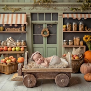 Pumpkin Wagon Newborn Digital Background • Autumn Harvest Baby Photo Prop