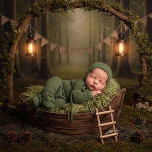 May include: A sleeping newborn wearing a green knitted outfit and cap rests in a wooden boat-shaped bed. The scene is set in a forest with a decorative arch, lanterns, and a small wooden ladder.