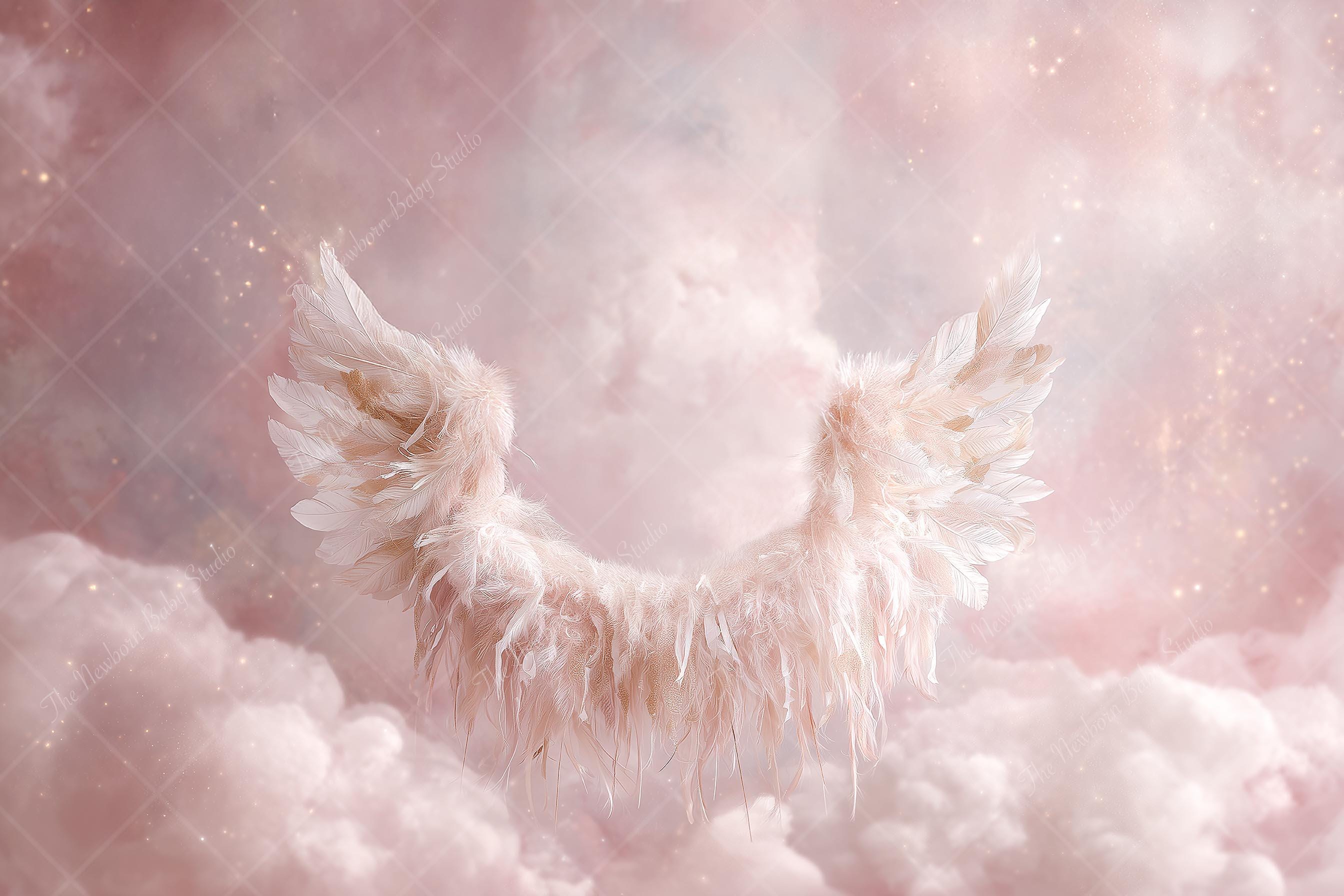 Angel Wings Newborn Digital Backdrop | Pink Cloud Baby Photography ...