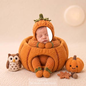May include: A knitted orange pumpkin-shaped outfit consisting of a hat with a green stem and a matching romper. The set is displayed with a small felted owl, a miniature smiling pumpkin, a felted leaf, and an acorn on a textured cream surface.