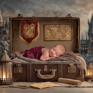 May include: A newborn baby lies asleep in a vintage suitcase, draped in a burgundy wrap. The suitcase is brown with brass hardware, and a banner and map are inside. A decorative owl and lantern sit nearby, with a castle backdrop.