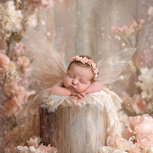 Fairy Wings pasgeboren digitale achtergrond, blozen bloemen babymeisje samengestelde achtergrond, grillige bos fotografie prop