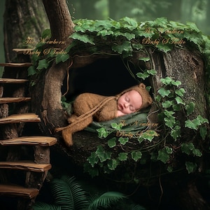 Può includere: Un neonato con un costume da orso di maglia marrone dorme in un tronco d'albero cavo ricoperto di edera verde. Il tronco d'albero è circondato da vegetazione verde e una scala di legno conduce all'albero.